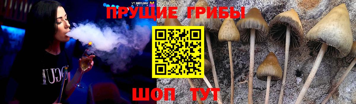 Псилоцибиновые грибы Magic Shrooms Назрань